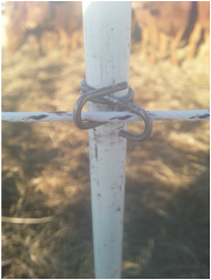 Clip holding the polywire on the no step fence post